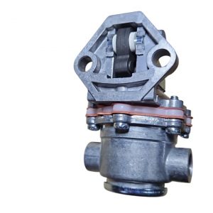 Bomba De Alimentación Same